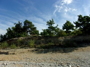 KODAK Digital Still Camera