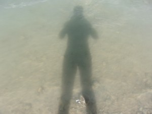 KODAK Digital Still Camera