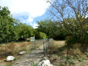 KODAK Digital Still Camera