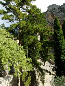 KODAK Digital Still Camera